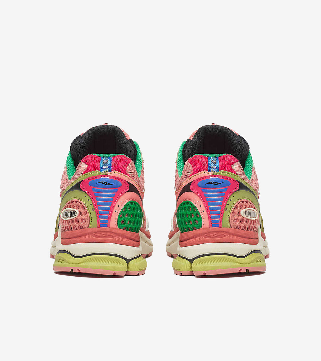 Saucony ProGrid Triumph 4 Jae Tips Flowers Grow Uptown Virginia Creeper